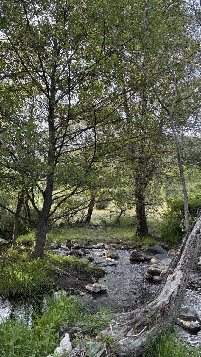 Müslümanların unuttuğu bir şeydir bu, inziwaya çekilmek sünnettir.