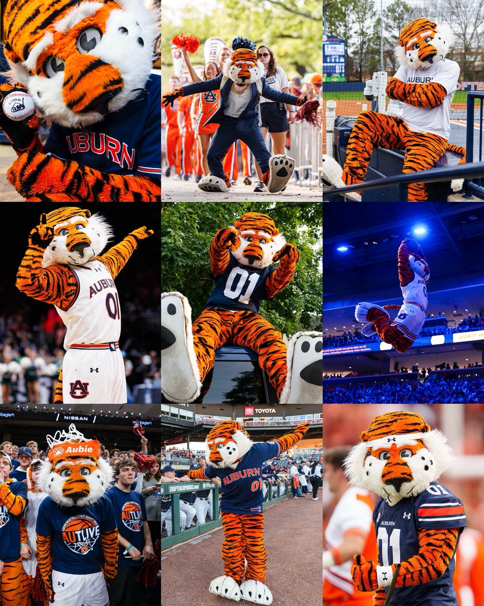 Auburn Tigers (@auburntigers) on Twitter photo Happy National Mascot Day to the BEST mascot in the world! We’re your # 1️⃣ fans <a href="/AubietheTiger01/">Aubie the Tiger</a> 🧡🐅
#WarEagle Happy National Mascot Day to the BEST mascot in the world! We’re your # 1️⃣ fans <a href="/AubietheTiger01/">Aubie the Tiger</a> 🧡🐅
#WarEagle