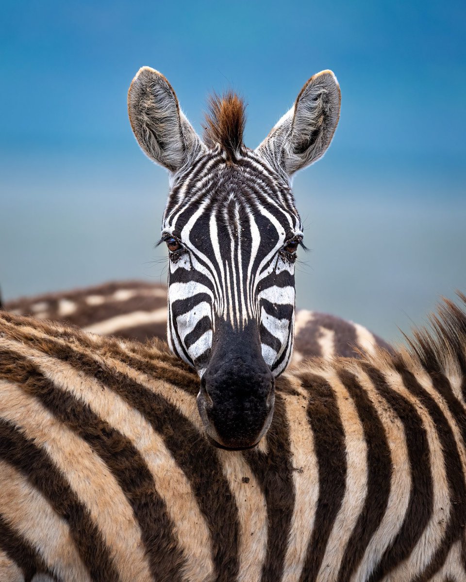 Fahrettin Emeç (@fahreddinemec) on Twitter photo 