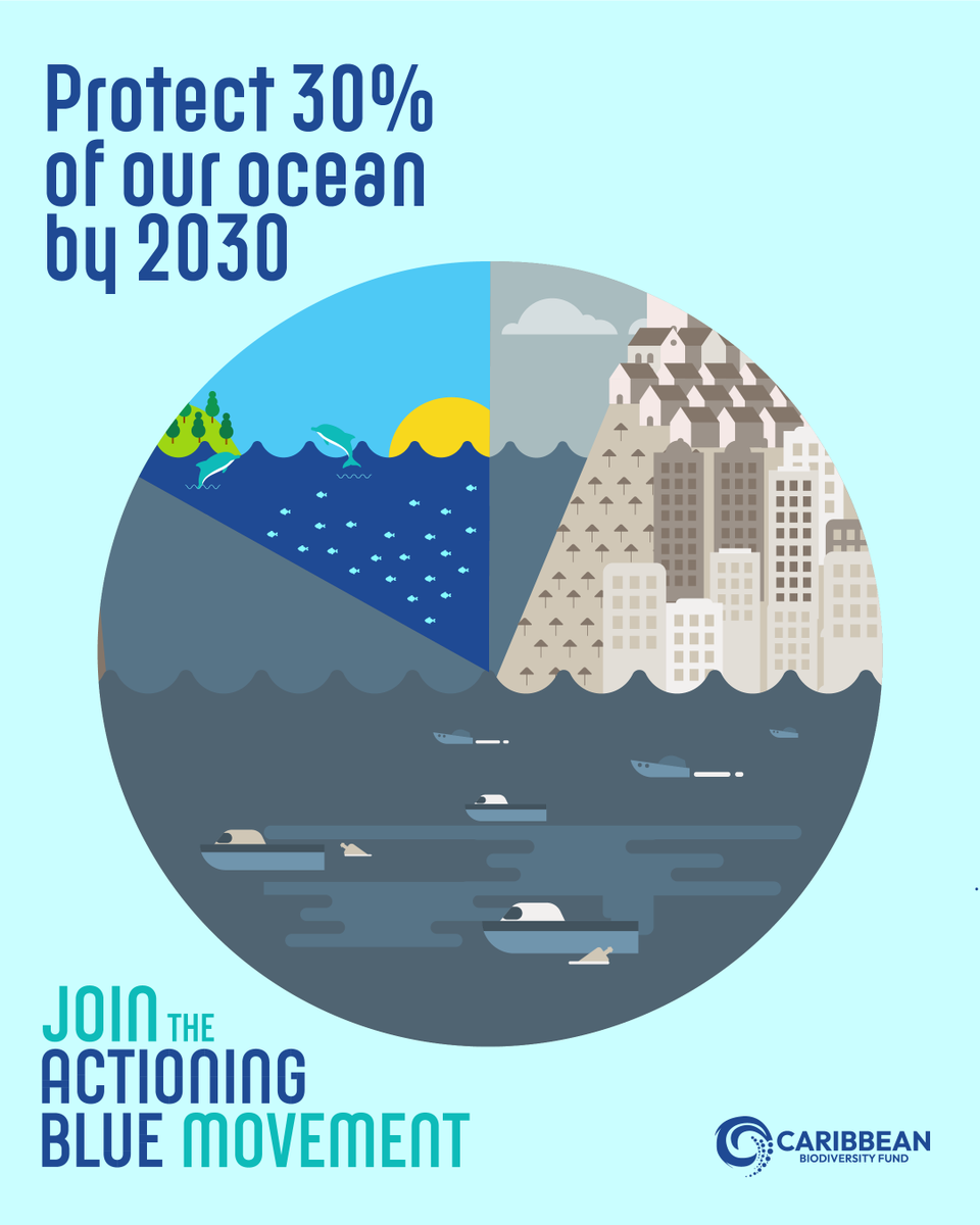 At #UNOC3, we launched a shared Caribbean vision for ocean protection, prosperity, and resilience. Actioning Blue means moving from pledges to progress—from promises to protection.

Learn more: tinyurl.com/fs2rpcr7