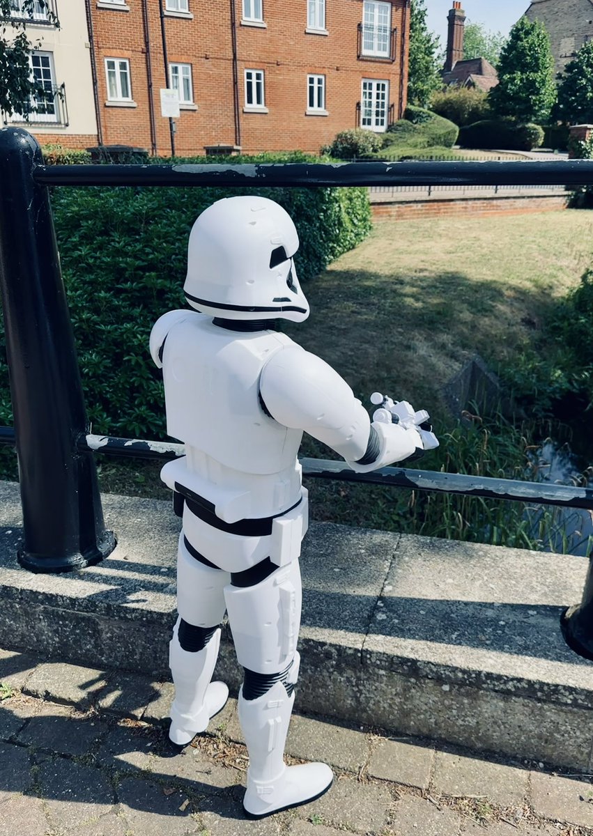 plantsbloke's tweet image. Meet Ron, or Ronnie until he gets to know you. Ron taught yoga for years and was, so he tells me, famous in Yarm for his tenderstem broccoli and capers stall in the market. Then one day whilst practicing “The Schuhplattler” he heard a voice calling out to him about the “dark…