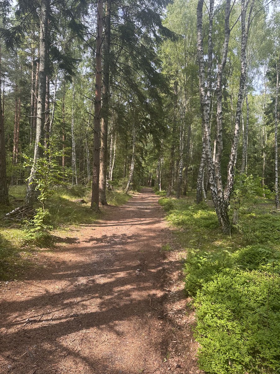 Beautiful evening dear family ☺️🙏🥰🌲🌳🏡