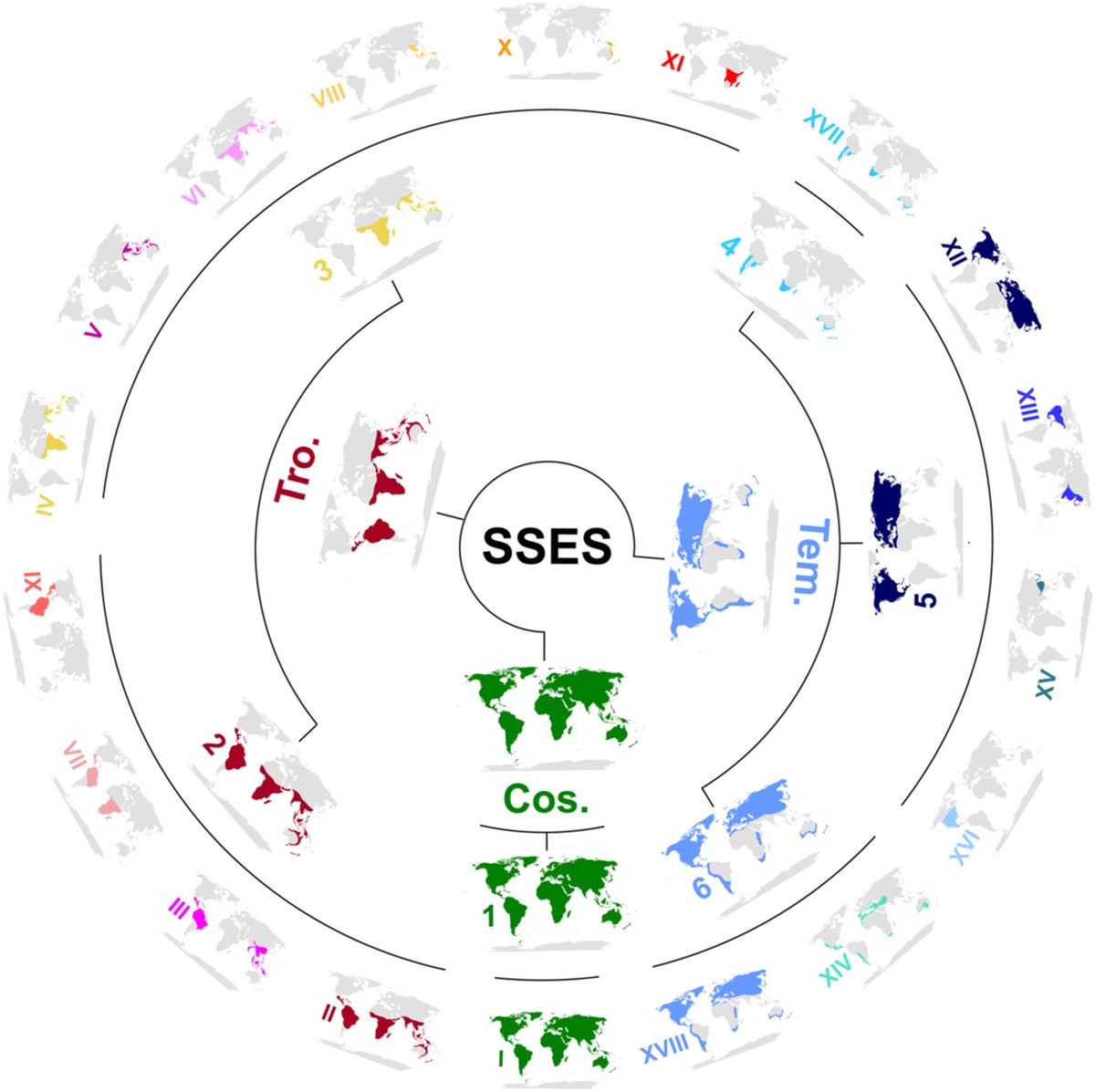 JIPB (@jipbio) on Twitter photo This time, it's NOT about time!
Explore the spatial #evolution of #seed #plants in this incredible, comprehensive #taxon-based approach from Huang et al.
#Free to read from #JIPB and #WileyPlantScience!
⬇️🔓
doi.org/10.1111/jipb.1… <a href="/wileyplantsci/">Wiley Plant Science</a> #PlantSci #JIPB #evolution This time, it's NOT about time!
Explore the spatial #evolution of #seed #plants in this incredible, comprehensive #taxon-based approach from Huang et al.
#Free to read from #JIPB and #WileyPlantScience!
⬇️🔓
doi.org/10.1111/jipb.1… <a href="/wileyplantsci/">Wiley Plant Science</a> #PlantSci #JIPB #evolution