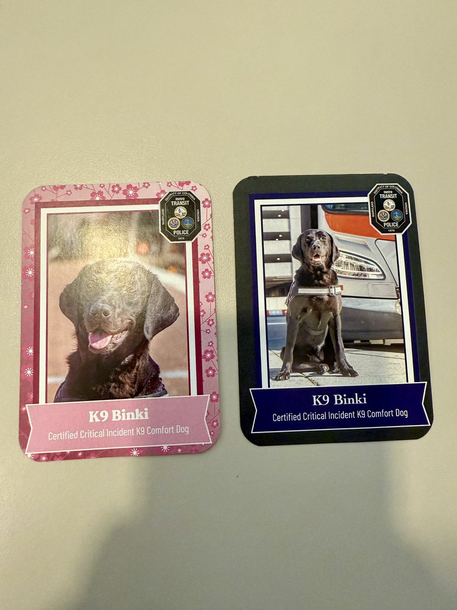 PeterSaccoDC's tweet image. I met Binki, @wmata’s critical incident comfort dog! And she has trading cards! 🐕