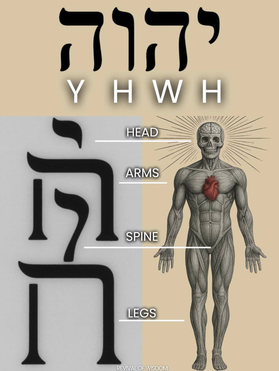 Book of Symbolism is going to blow your mind.
Are you ready? 👁️📖