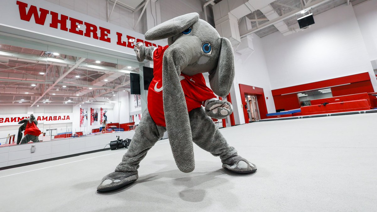 10’s all-around.

Happy Mascot Day! <a href="/UA_Big_Al/">Big AL 🐘</a>