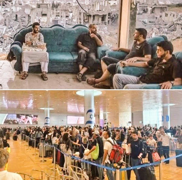 Happiness_owner's tweet image. الفرق بين ٠٠٠
          صاحب الأرض    و     سارق الأرض