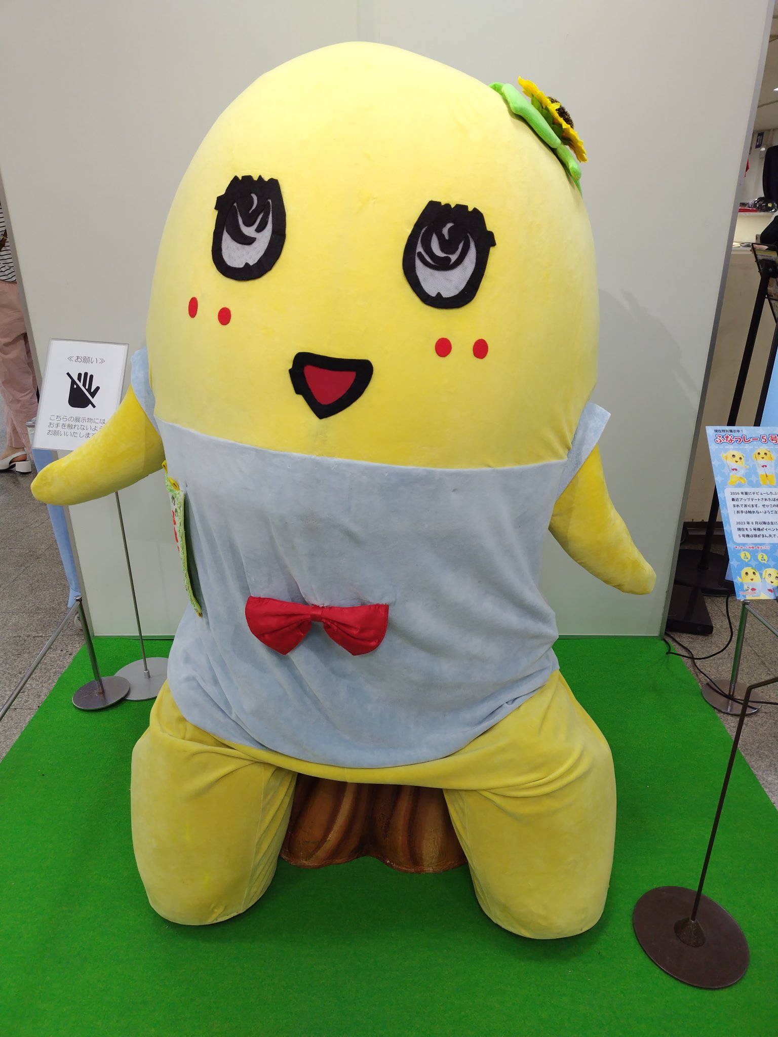 なっちゃん ◇サントリー なっちゃんオレンジ 1500mL 【8個セット】: サン