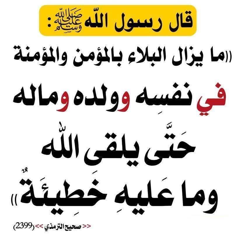 حمدى ابراهيم يحيى عباس المرادنى (@almradnyhmdy) on Twitter photo 