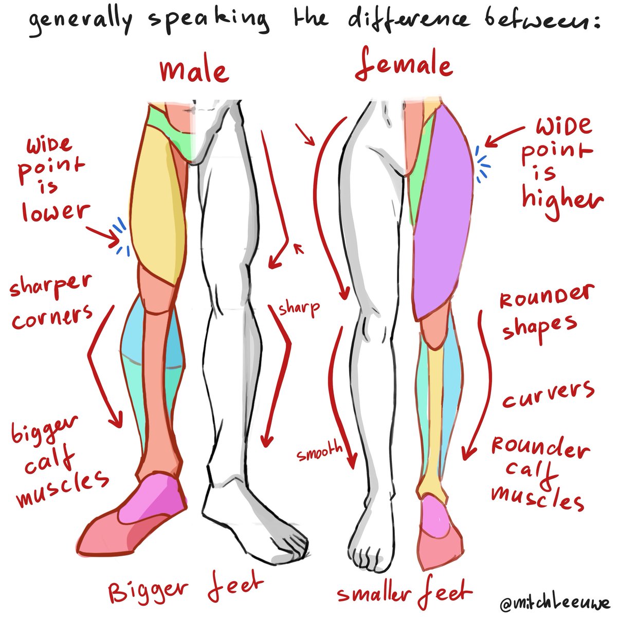 To draw the feet correclt its also usefull to have understanding to draw the leg 