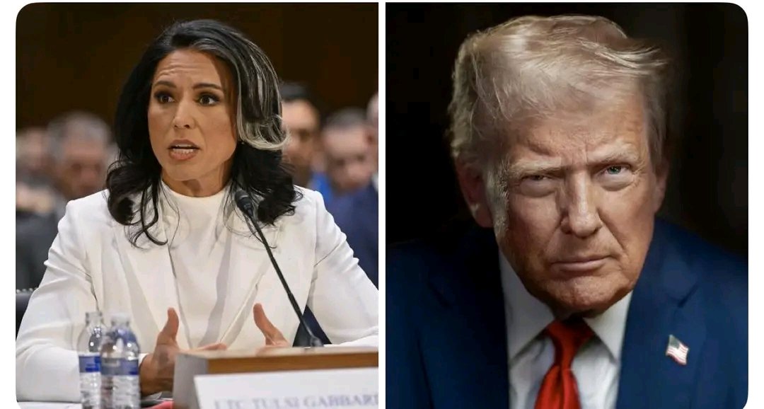 Senator Malcolm Roberts 🇦🇺 tweet media