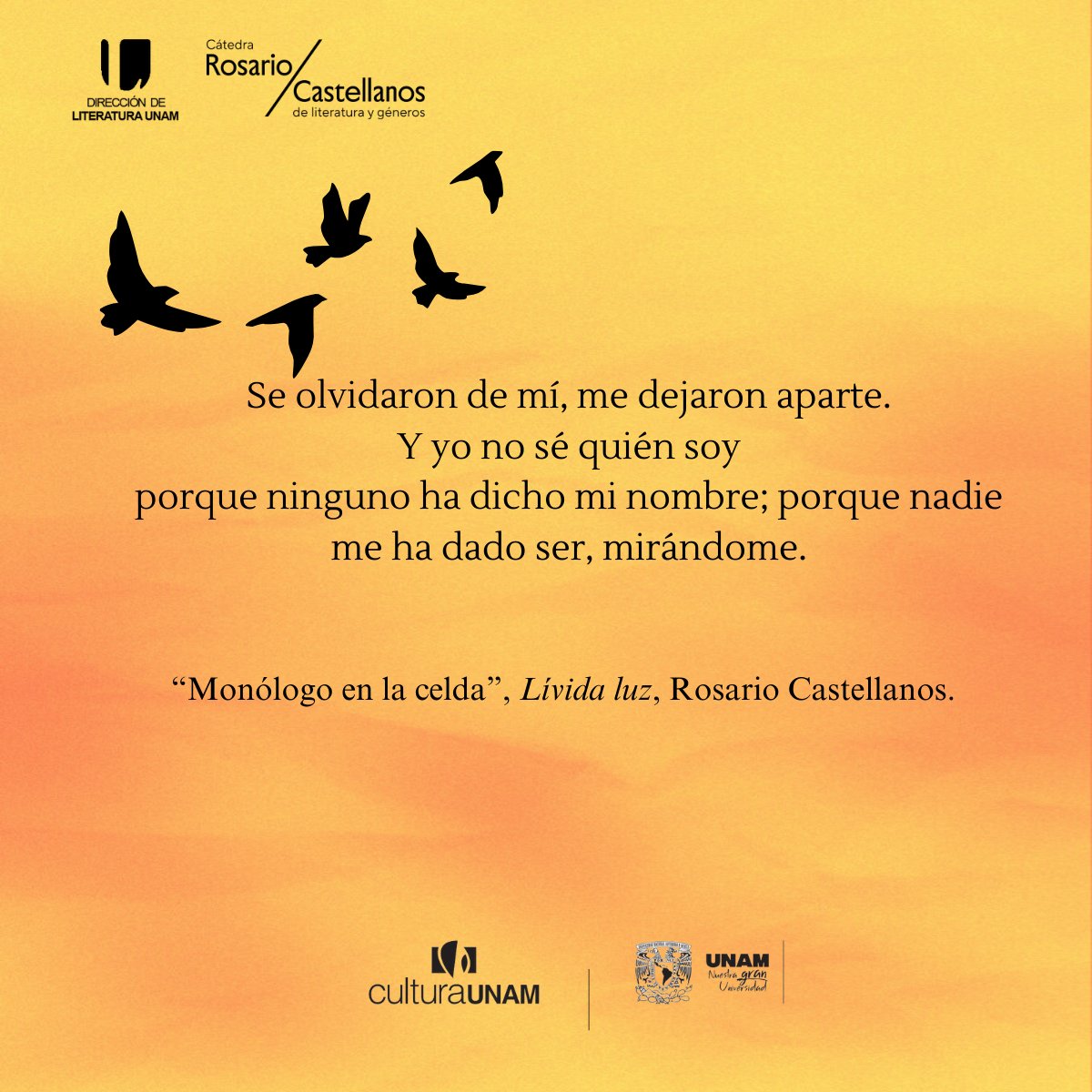 Este martes de #LegadoLiterario de #RosarioCastellanos te compartimos estos versos en los que la voz poética no se reconoce en ese no ser nombrada  📖 ☕.

Cuéntanos, ¿cuál es tu poema favorito de Rosario Castellanos? 📣📚