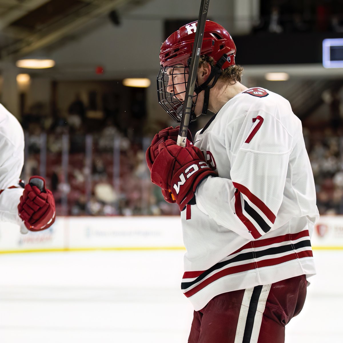 HarvardMHockey's tweet image. Congratulations to Philip Tresca, who earned an @CollSportsComm Academic All-District nod after a great year on and off the ice 📚
#GoCrimson | #OneCrimson