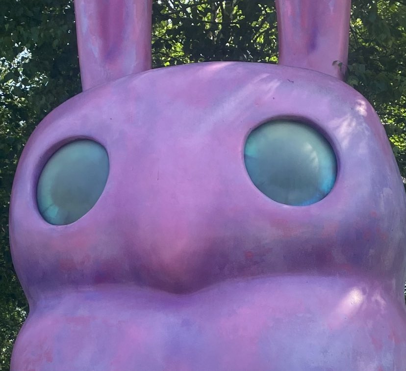 В сколково обнаружена лабуба. То, что они не продаются в их мерчелавке, я считаю мощнейшим упущением