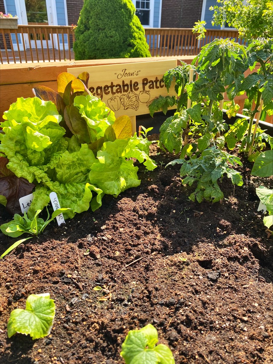 Ocean View Community tweet media