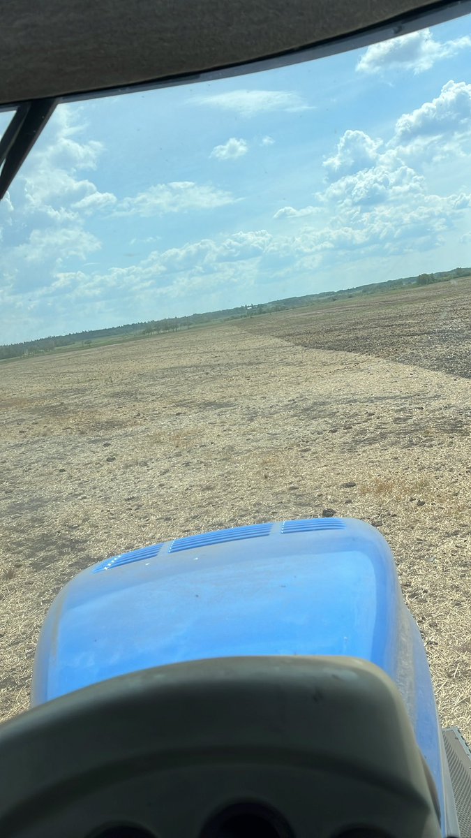 Doing my <a href="/silagechopper/">Tales from the Feedyard (Uncensored)</a> impression. Fed calves out here all winter. Hope the seeding wrap up party is still on.