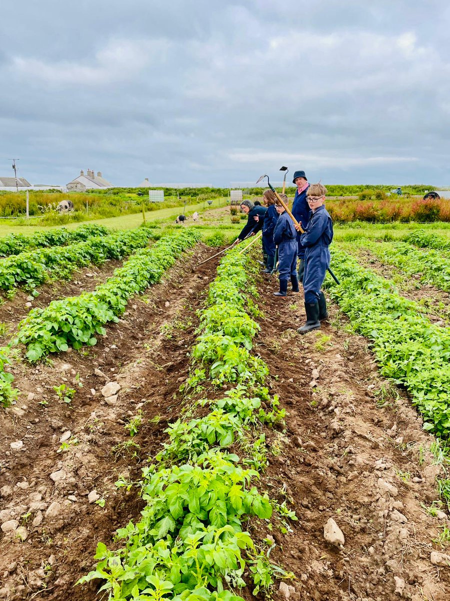 St George's CE Primary School (@stgeorgeskent) on Twitter photo A day of muck and magic <a href="/Treginnis_FFCC/">Lower Treginnis - Farms for City Children</a> #FarmersForAWeek
We're making memories to last a life time, but also remembering to Let Our Light Shine!
#WorkHardPlayHard A day of muck and magic <a href="/Treginnis_FFCC/">Lower Treginnis - Farms for City Children</a> #FarmersForAWeek
We're making memories to last a life time, but also remembering to Let Our Light Shine!
#WorkHardPlayHard