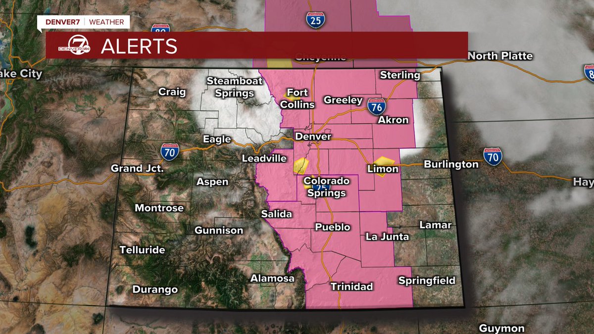 lisa hidalgo tweet media