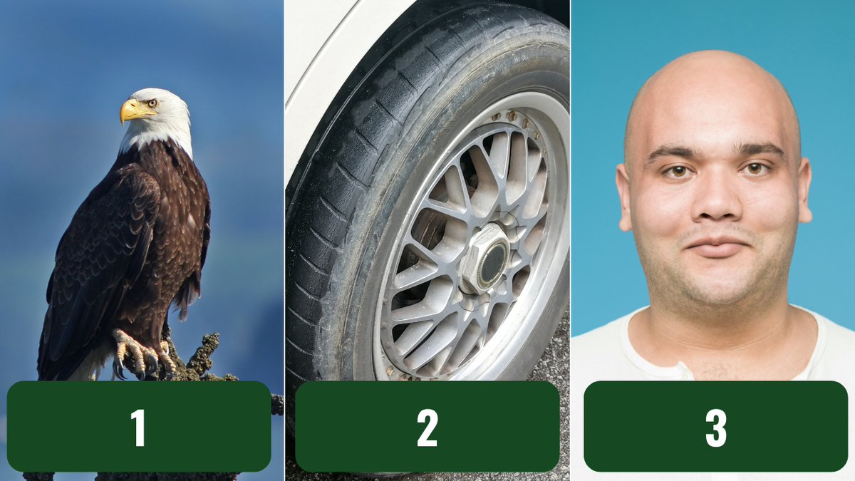 It’s pretty obvious what these 3 things have in common, but only 1 of them can cause traffic accidents! 
 
🦅👨‍🦲🚗 Bald eagles soar, bald heads are stylish, but bald tires are dangerous! Remember to check your tires regularly so you won’t slip &amp; slide on wet roads! Stay safe!