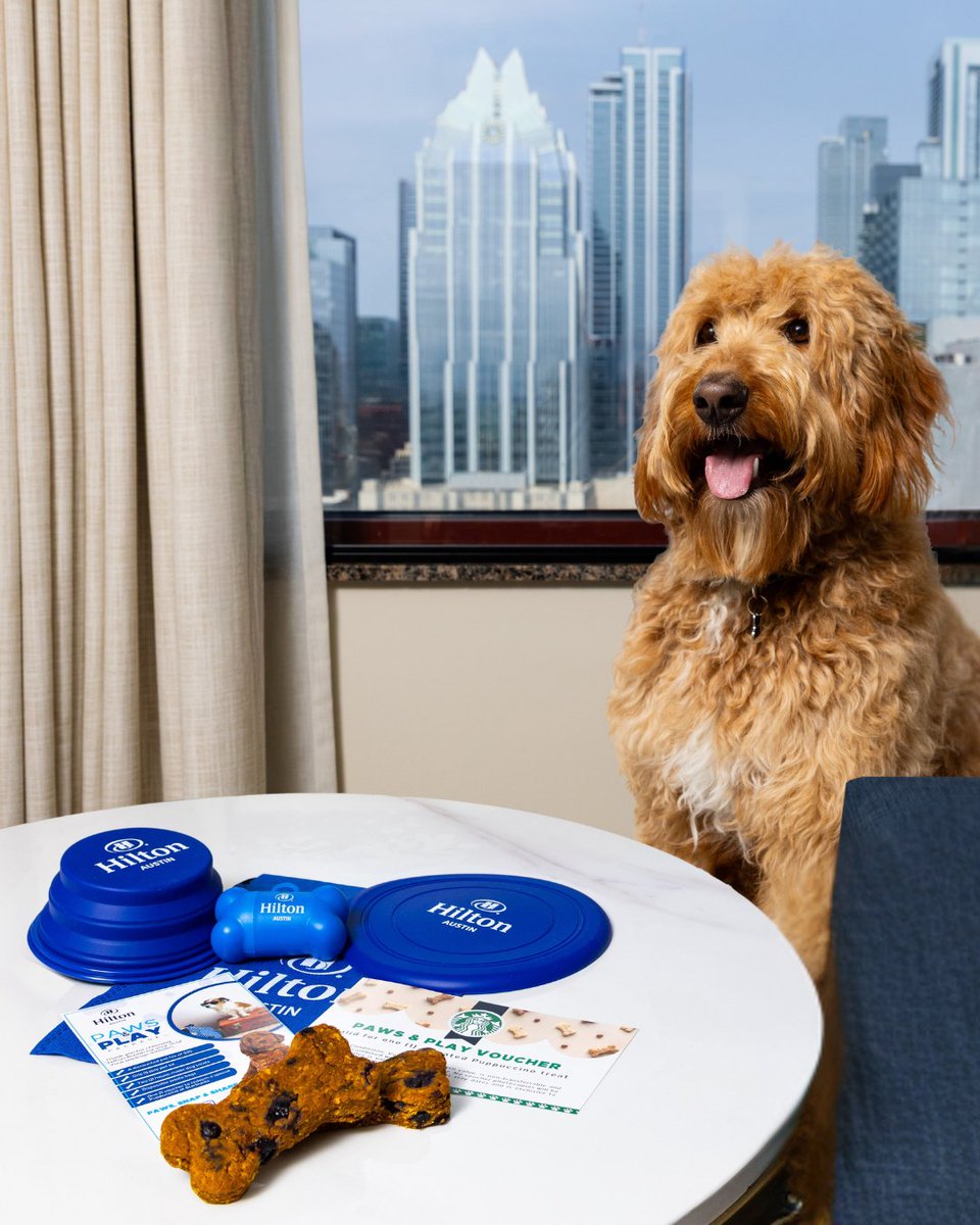 From scratch-made treats to a Starbucks Puppuccino just for your pup, our Paws &amp; Play Package is designed to make their stay every bit as memorable as yours. 

Learn more and book— hil.tn/uthrx9