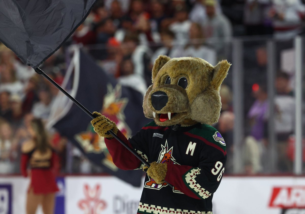 PHNX_Hockey's tweet photo. Happy National Mascot Day, we miss you Howler ❤️‍🩹 https://t.co/CeaTfRc9or