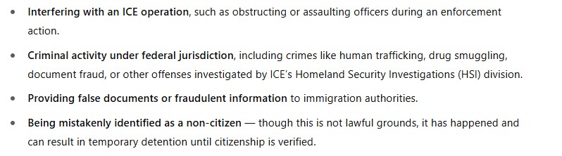Brad Lander, who apparently fancies himself an immigration attorney, should learn the law because ICE can arrest US citizens for the following reasons.