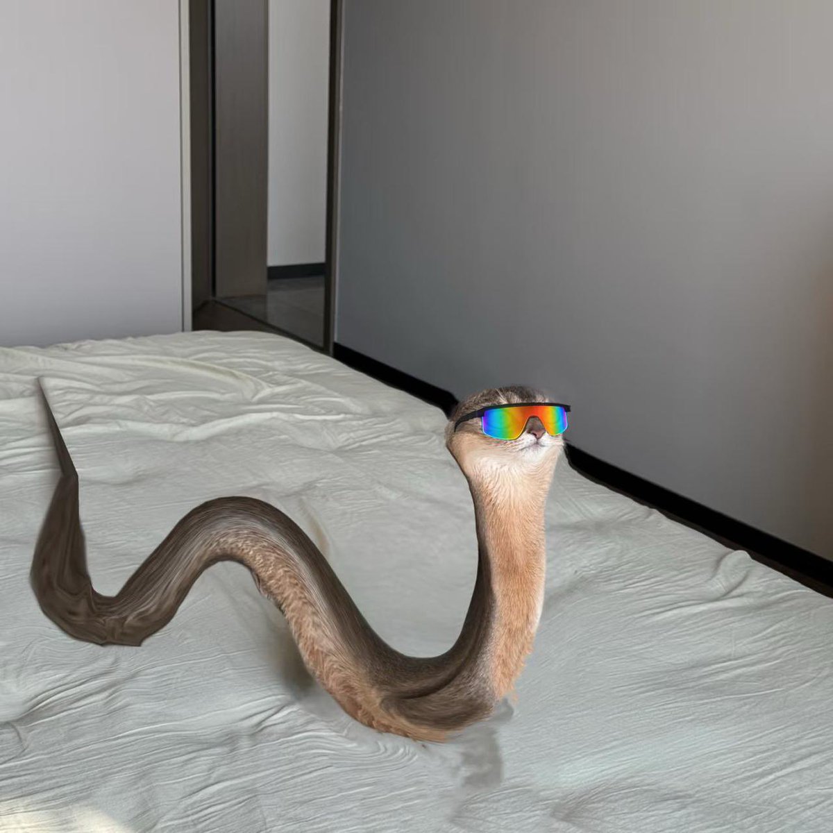 douvy (@douvy_) on Twitter photo 