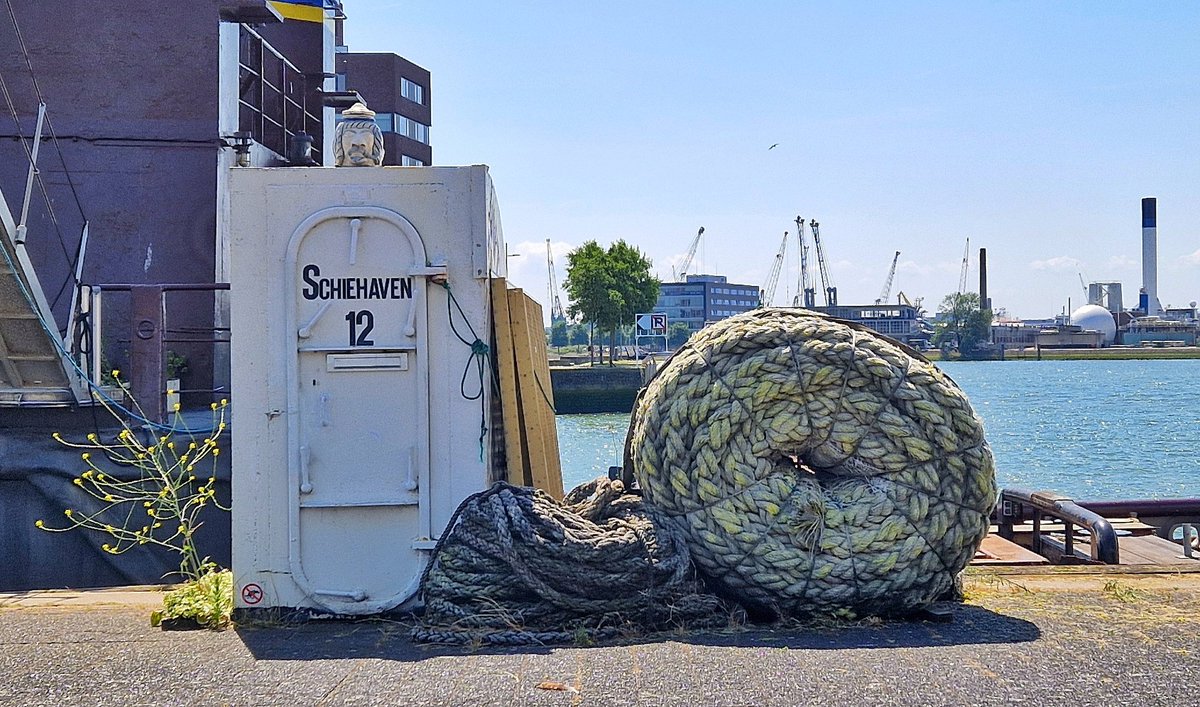 SanRotterdam's tweet photo. Touwtje! Hoe Rotterdams wil je 't lope te hebbe? 🫡
#rotterdam #mijnwereldstadje https://t.co/rZolck5d76