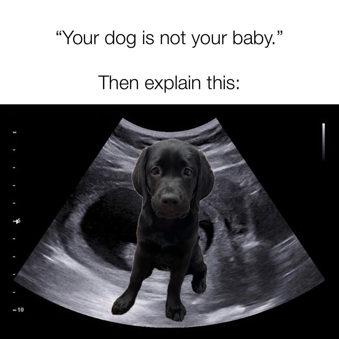 🤭