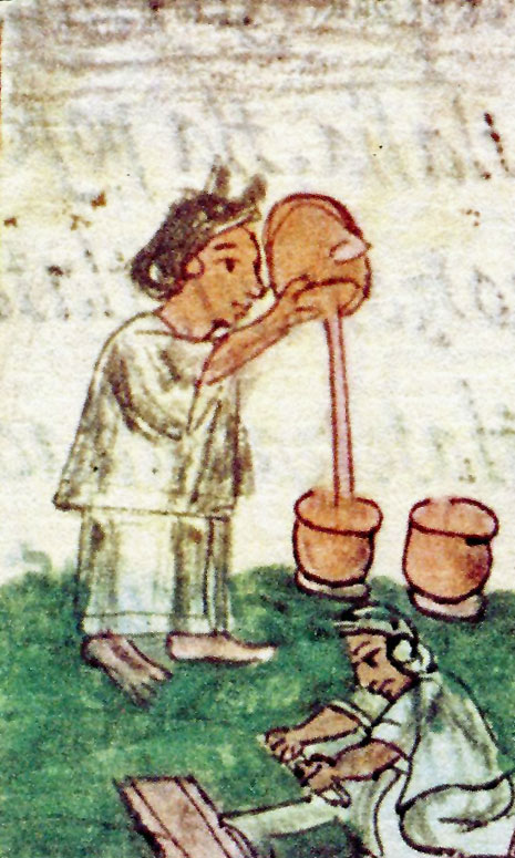 #Mexica/#Aztec/#Nahua women skilled at preparing a good cacao beverage were called ixtlamati in #Nahuatl - 'wise person who is experienced' - used to characterise women engaged in preparing beverages in Book 10 of the Florentine Codex.
Learn more -
mexicolore.co.uk/maya/chocolate…