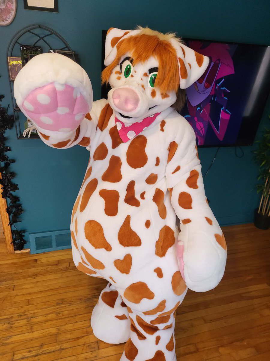 crinkle_butt's tweet image. looking to rehome my @plush_army suit, you will not get character rights (you need to change the name, everything else can be kept as is) 
looking at offers around 3.5k (paid over 5k) the suit is basically brand new. worn twice. fits most sizes as stuffing can be taken in/out
