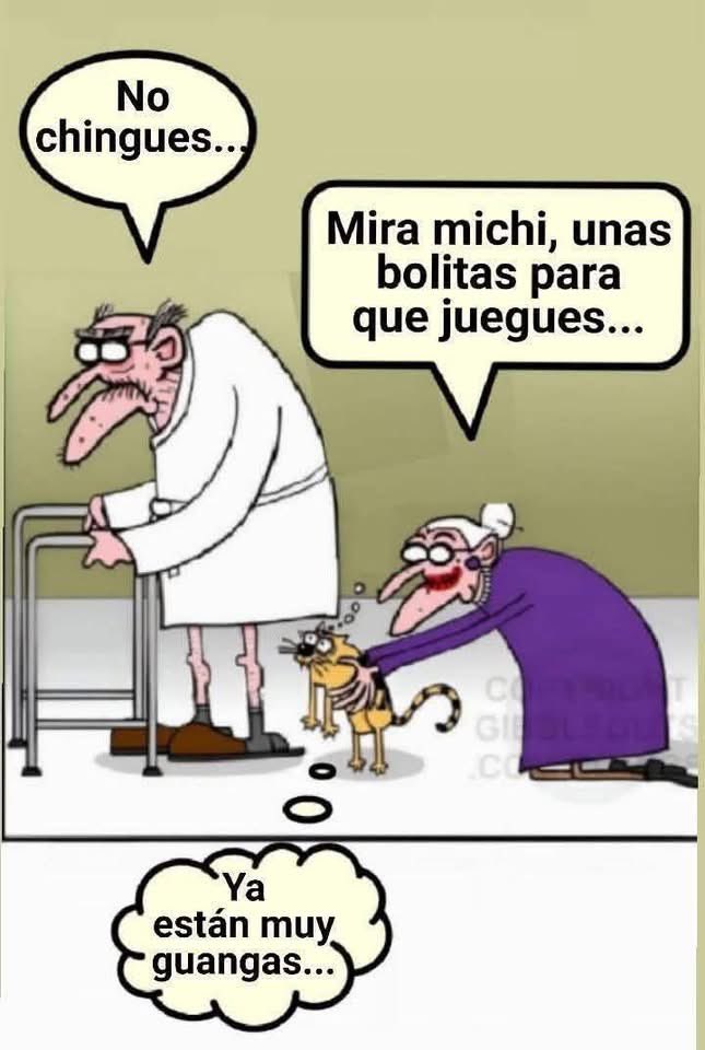 😂😂😂😂😂😂😂😂😂😂😂😂😂👇🏻Humor ! 👇🏻👇🏻👇🏻👇🏻👇🏻👇🏻👇🏻👇🏻👇🏻👇🏻👇🏻