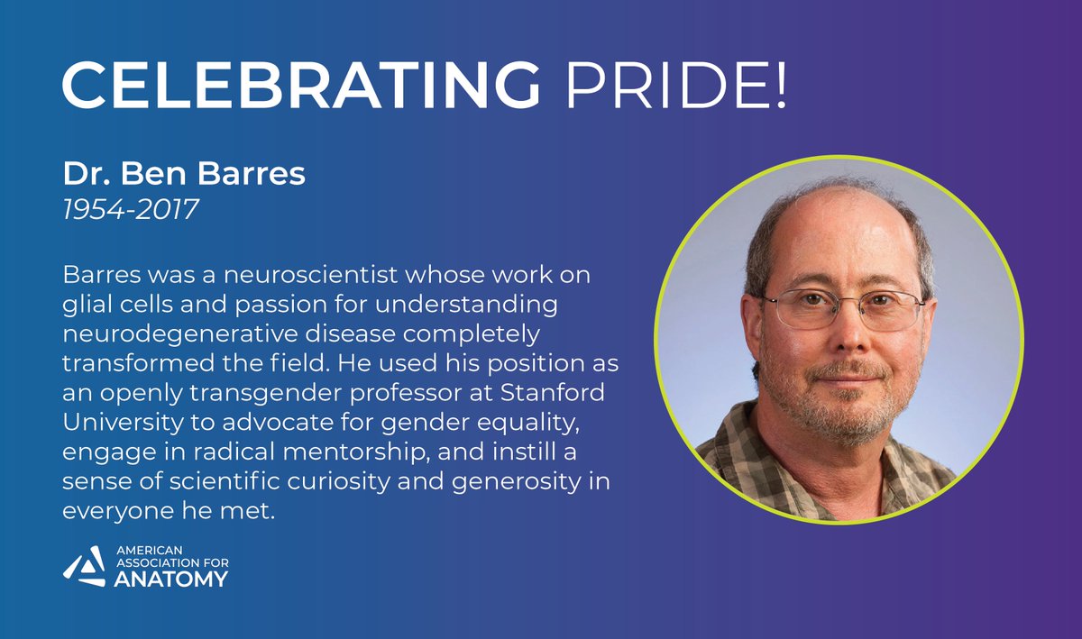 Dr. Ben Barres was a passionate investigator, a dedicated professor, and a prolific mentor. His authenticity and commitment made a lasting impact on the scientific community. 
Read more about his incredible legacy here 👉ow.ly/YRWM50Wapn6
#Anatomy26 #AAA