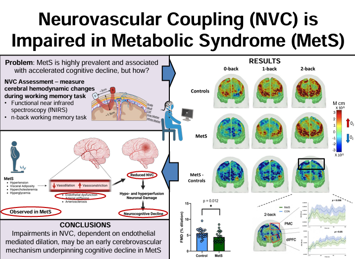 japplphysiol's tweet photo. A fascinating study combining #metabolics and #cognitive function is present in today's #ArticleinPress! Impaired Neurovascular Coupling in Metabolic Syndrome: An fNIRS study (Jigar Gosalia et al.):
https://t.co/WbQyWXHqTL https://t.co/NfkRzJh3bn