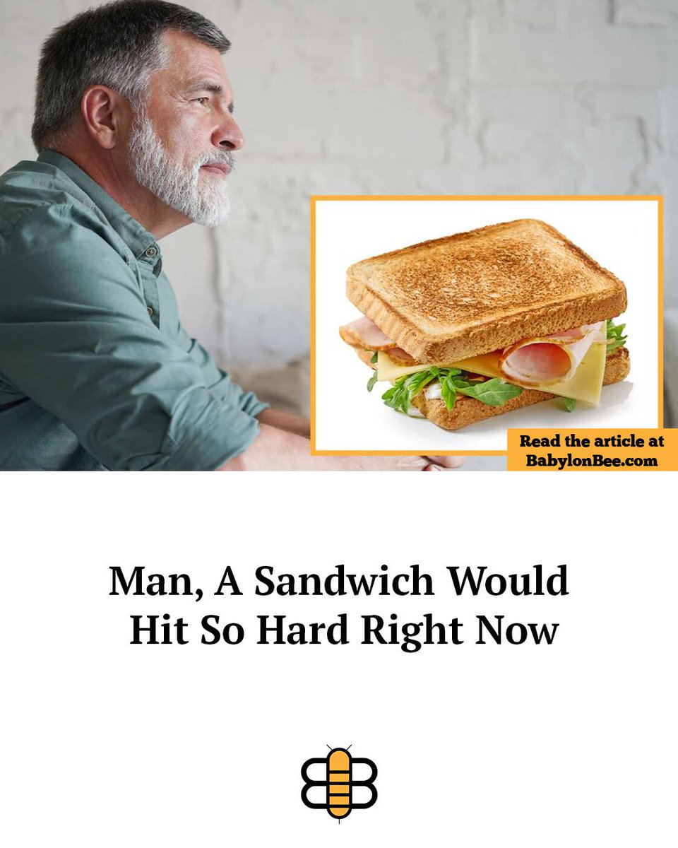 The Babylon Bee (@thebabylonbee) on Twitter photo 