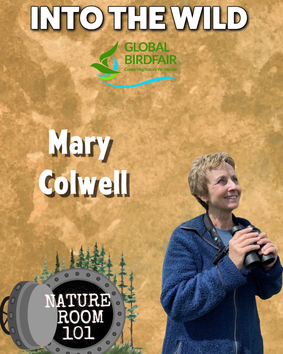 IntoTheWildPod's tweet image. NERDS!
We are back at @GlobalBirdfair this year with Nature Room 101 LIVE & check out this beaut of a lineup!
@MeganMcCubbin @curlewcalls & @UKTwitcher
📅 Saturday 6pm at The Osprey Stage!
🎤 Live recording
See you there 🤟🏻