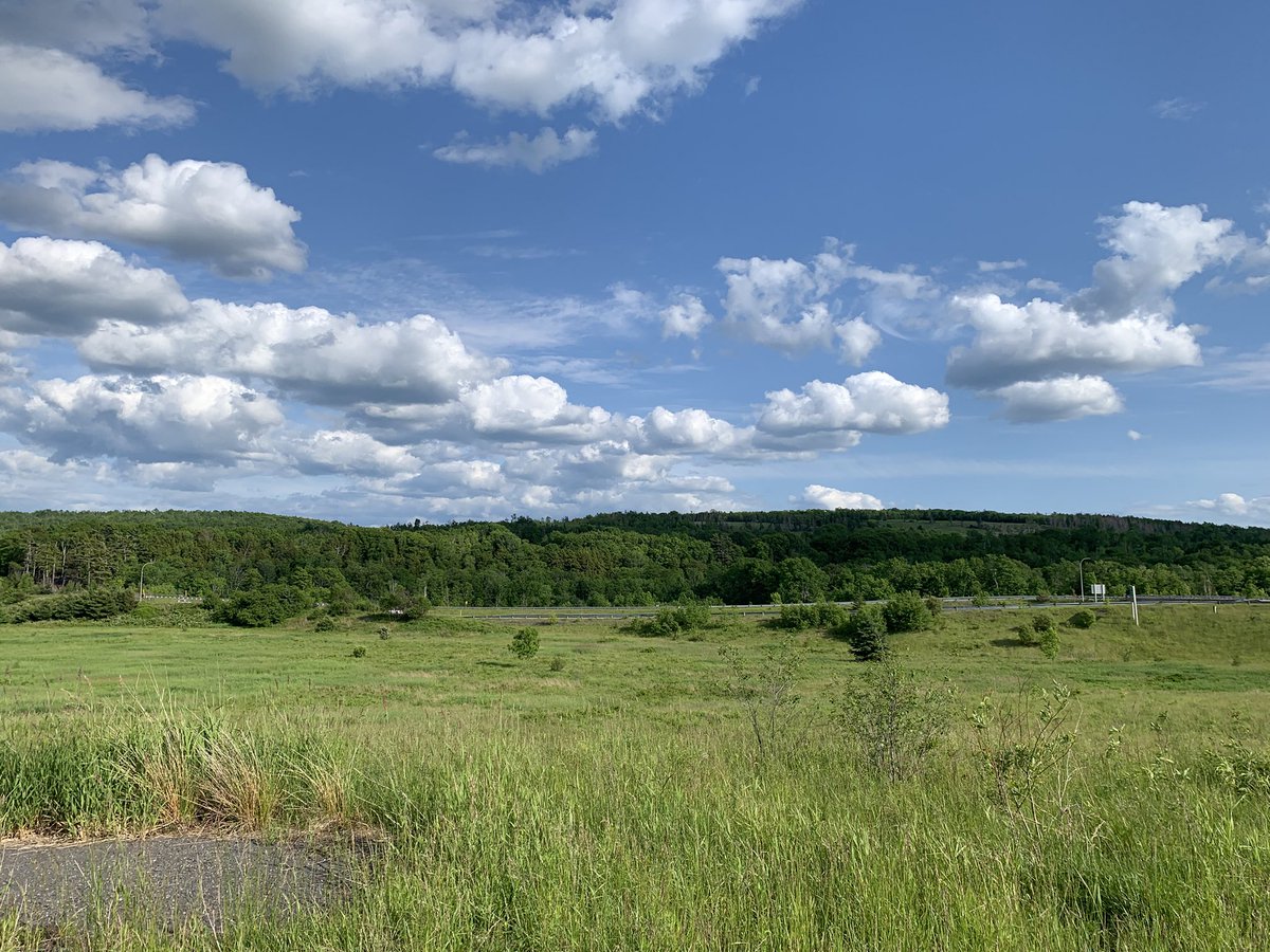 Travelling close to home 

#lookslikeanenglishcountryside
<a href="/SandyPembroke/">Sandy Pembroke US Pharmacy CDN Prices</a>