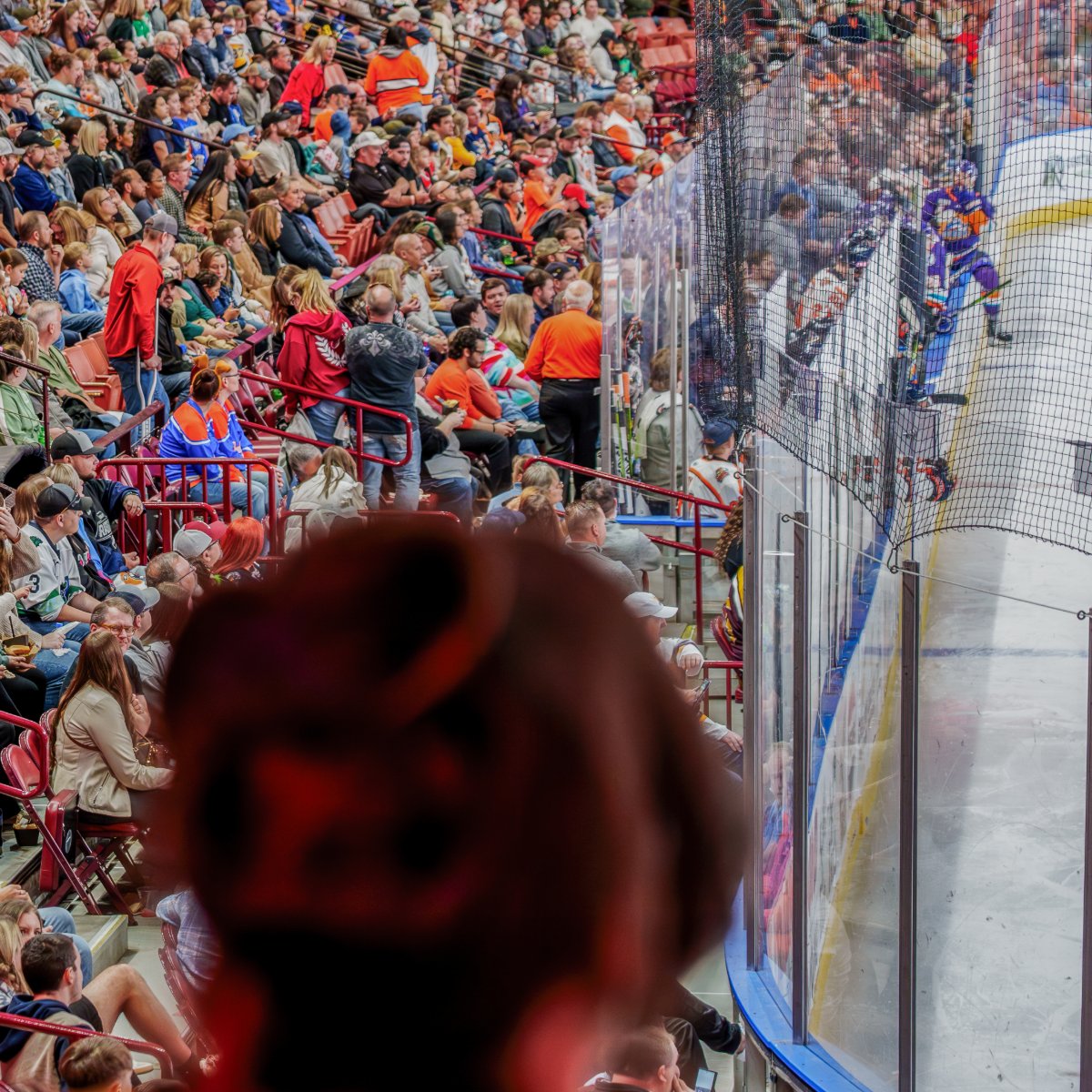 POV: You're in the house on Opening Night.