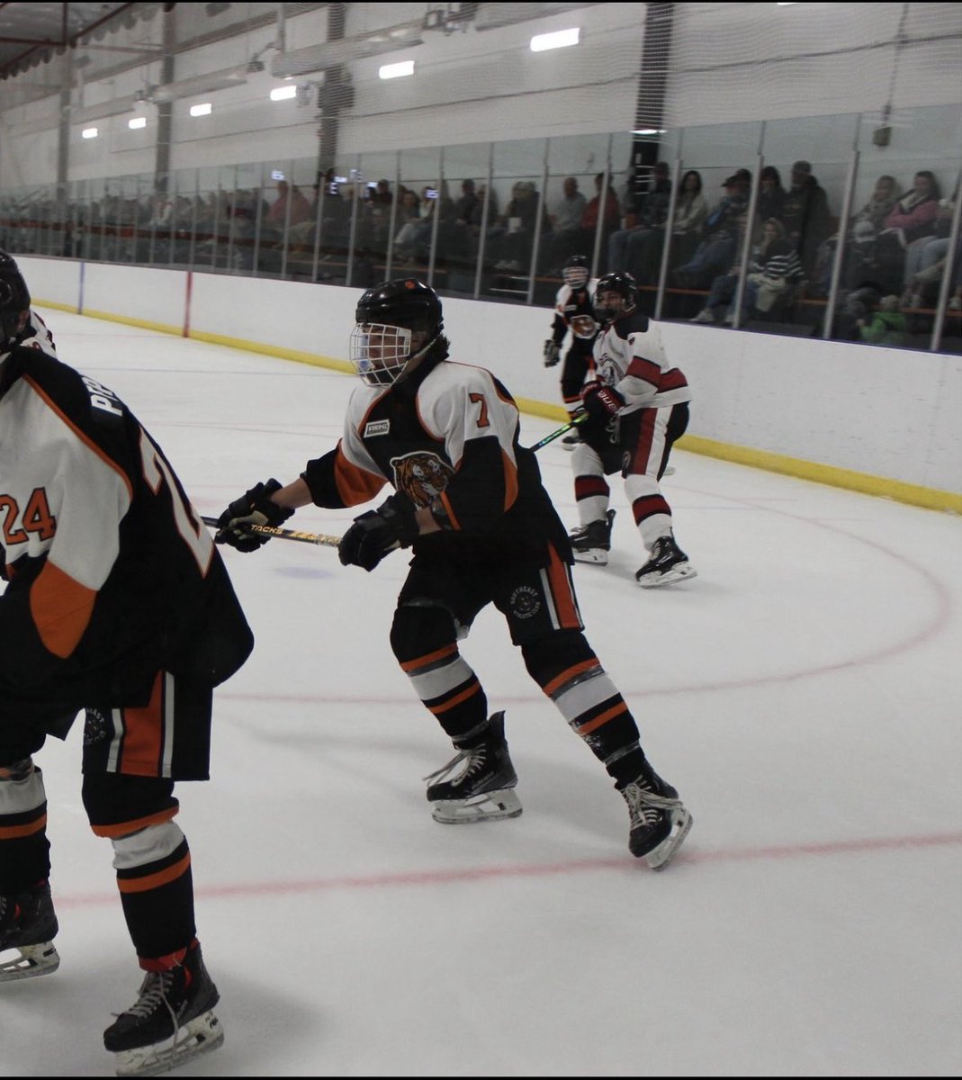 South East Tigers tweet media