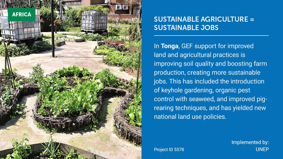 Global Environment Facility (GEF) (@thegef) on Twitter photo Sustainable agriculture means sustainable jobs, by improving soil and crop yields. A GEF-funded project in Tonga, led by <a href="/UNEP/">UN Environment Programme</a>, even helped shape national land use policies. Featured in the 2024 Monitoring Report: wrld.bg/7nL050W0Tie #DesertificationandDroughtDay Sustainable agriculture means sustainable jobs, by improving soil and crop yields. A GEF-funded project in Tonga, led by <a href="/UNEP/">UN Environment Programme</a>, even helped shape national land use policies. Featured in the 2024 Monitoring Report: wrld.bg/7nL050W0Tie #DesertificationandDroughtDay