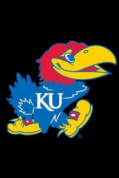 jeremiahhull23's tweet image. Ready to compete in Lawrence tomorrow!
@KU_Football @JayhawkSlant @RayPecFB @CoachTSamuel