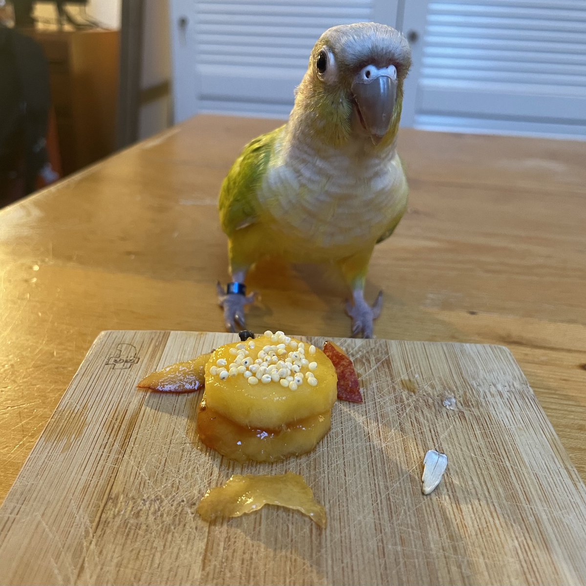 ceciliaconure's tweet photo. I am 2 years old today which means soon i will be Shipped at the Oil Rig https://t.co/n4lk6TWtxL