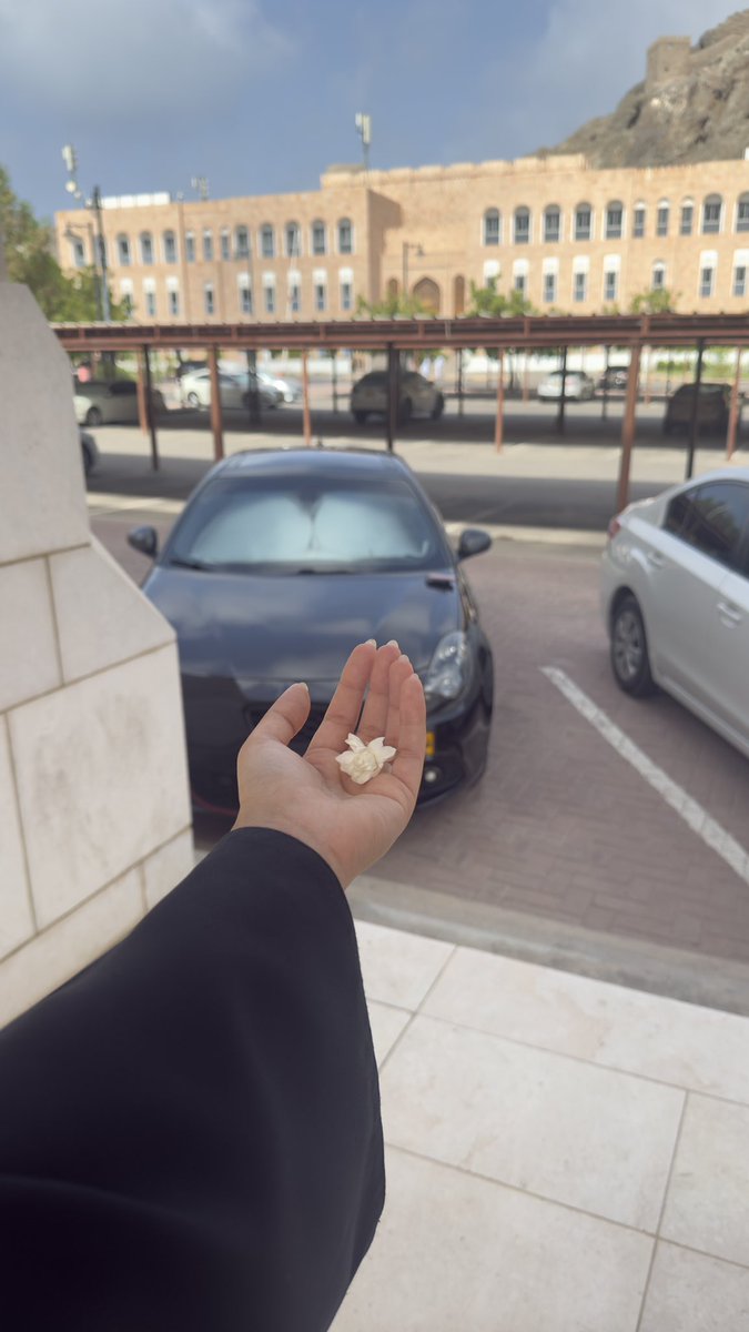 اليوم وبطريقة مجازية جدًا كان هنالك سُحيبات بسيطة تتأرجح في أعماق السماء، ونسمات لطيفة، أعادت لي دفء الشتاءات في مسقط. 
اختلجت قلبي مشاعر مختلفة، لم أفهم ماهيتها، لكنها كانت لطيفة وغريبة بعض الشيء ، تستدعي استكشافها…