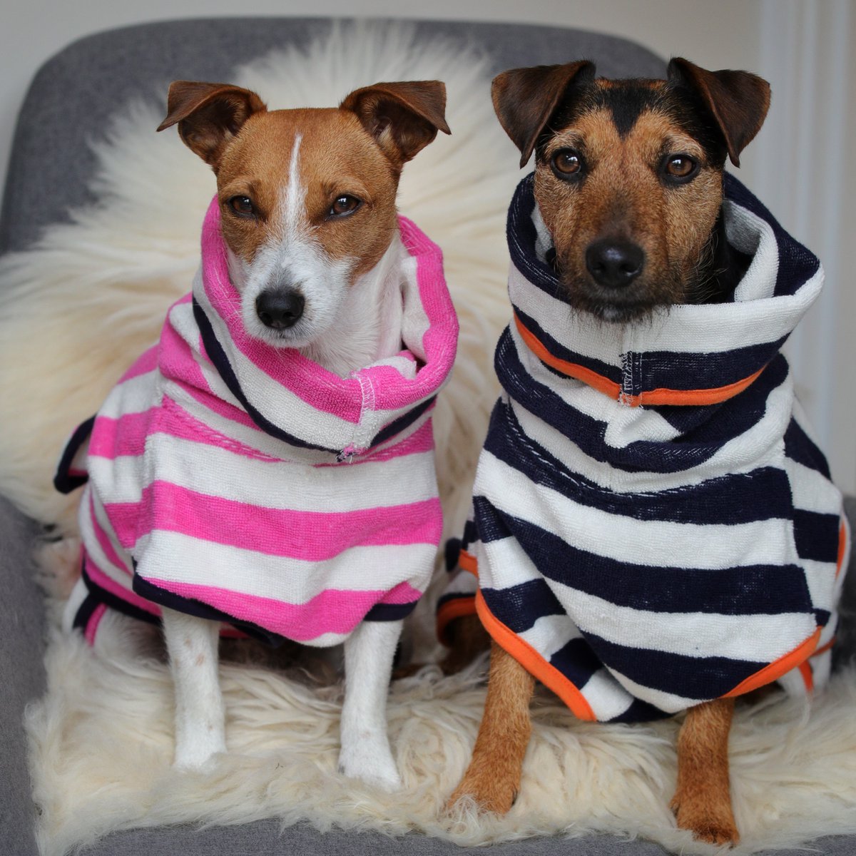 Come rain ☔ or shine 🏖

These doggy drying robes are the perfect addition to your pawdrobe!

With an adjustable fastening around the tummy these snuggly little numbers from Harbour Hound will keep your dog warm and cosy

dotty4paws.co.uk/product/harbou…

#WomanInBizhour