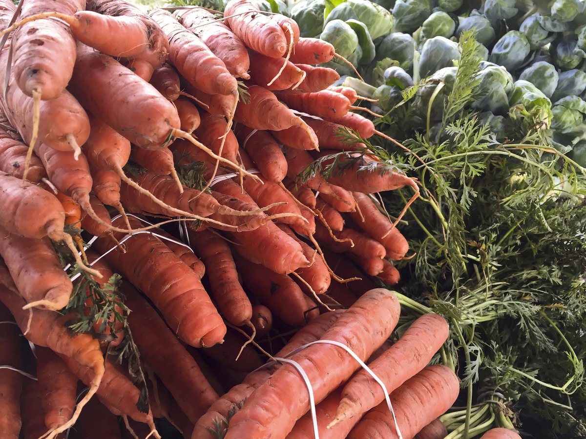 At NRCS we work side-by-side with farmers and growers to protect the soil, water, and natural resources that make farming possible. This National Eat Your Veggies Day, we celebrate the connection between conservation and farm-fresh vegetables we all enjoy!