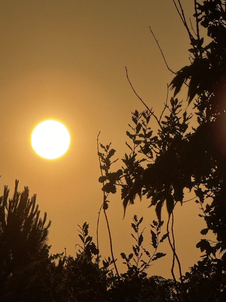 Ara mateix, compartint amb vosaltres. 😍😍