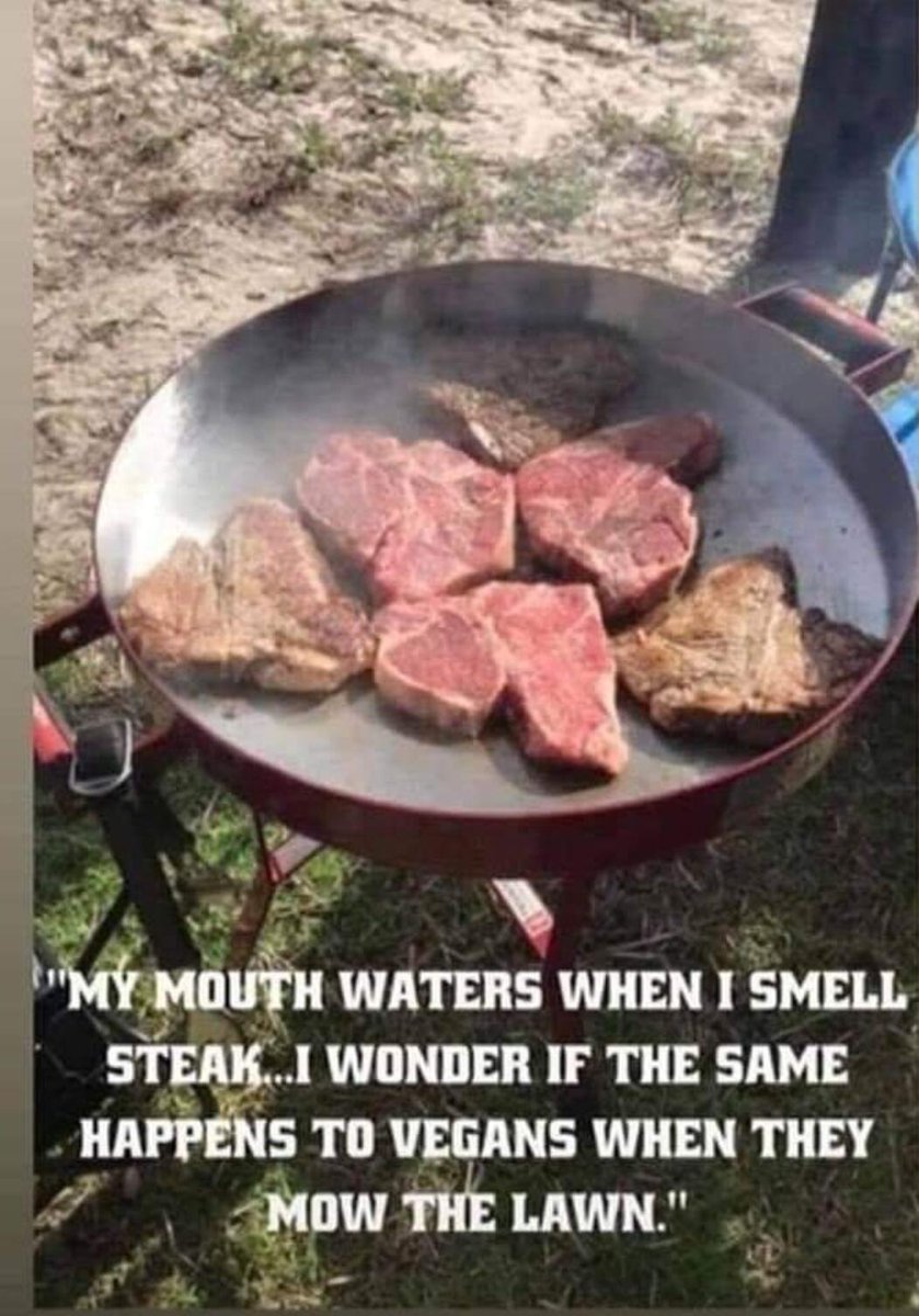 🇺🇲 FloridaMan 🇺🇲 (@mtate32) on Twitter photo 
