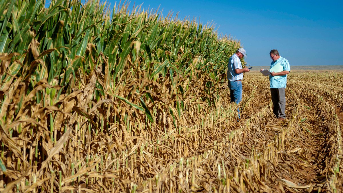 Considering buying crop insurance, but not sure you can afford it? Use our free tool to estimate your costs prior to reaching out to a crop insurance agent. ewebapp.rma.usda.gov/apps/costestim…