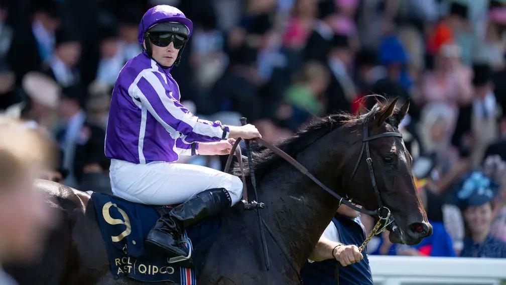 "When he won I was shaking so much I just had to cup my hands over my face and cry my eyes out."

Read how a small breeder with an £800 broodmare came up with Coolmore’s Coventry hero Gstaad 👉 bit.ly/45mSNCy