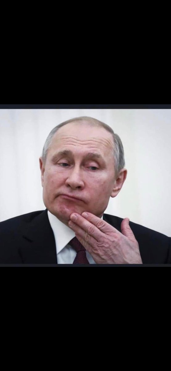 Live and let live tweet media